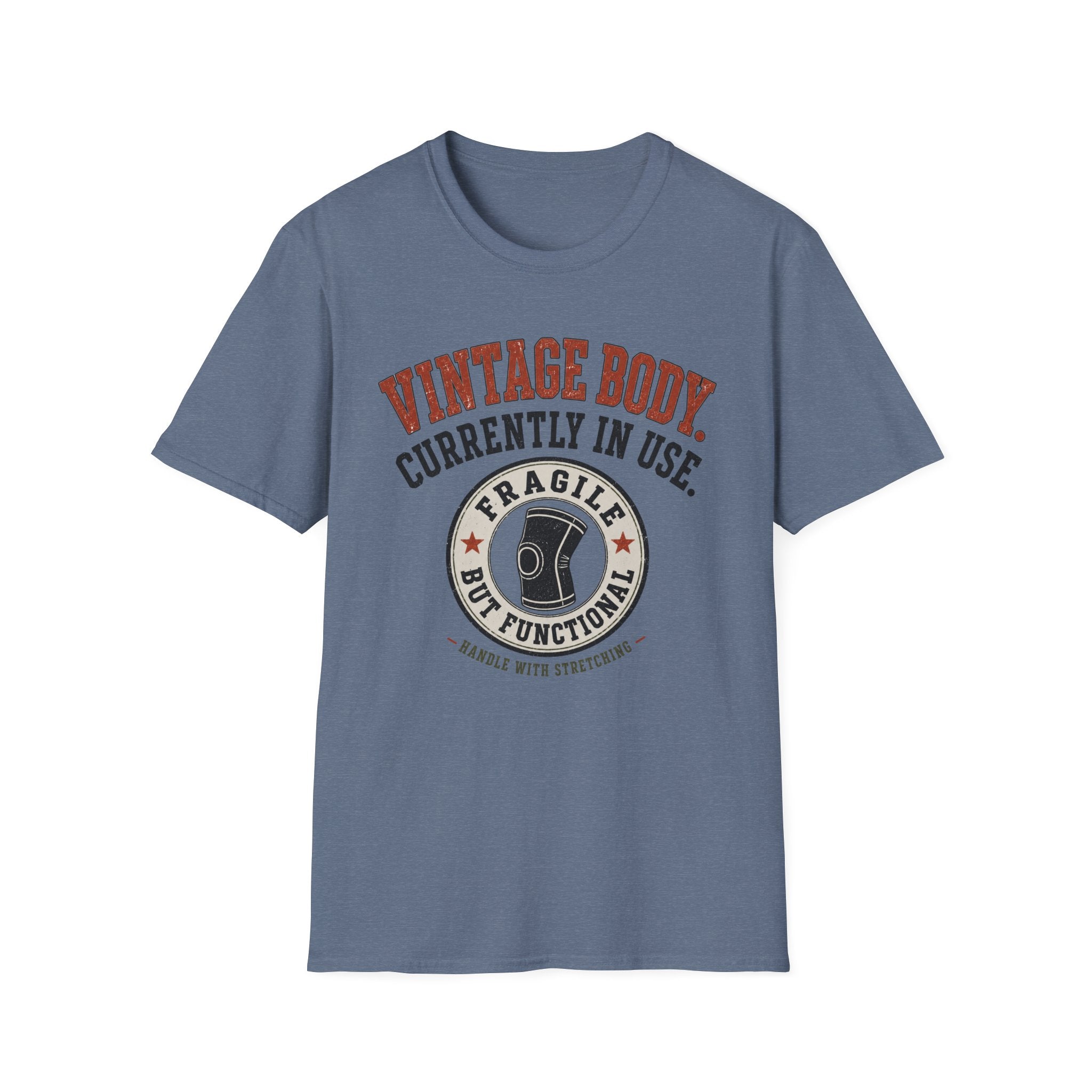 Vintage Body Currently In Use T-Shirt