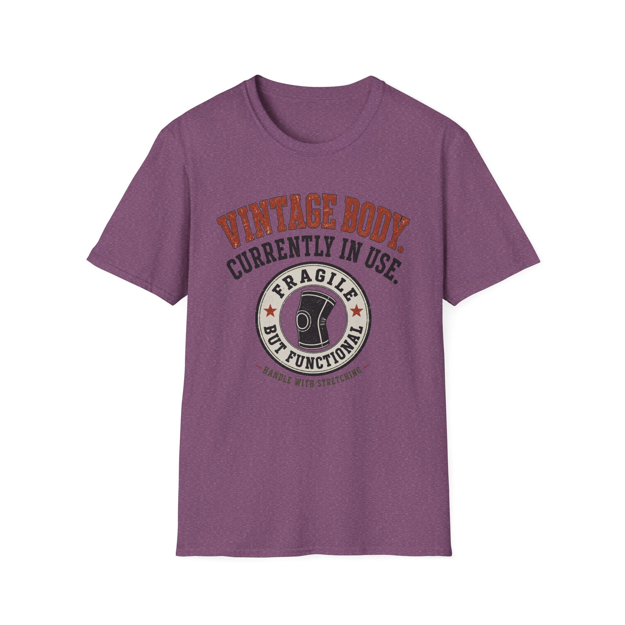 Vintage Body Currently In Use T-Shirt