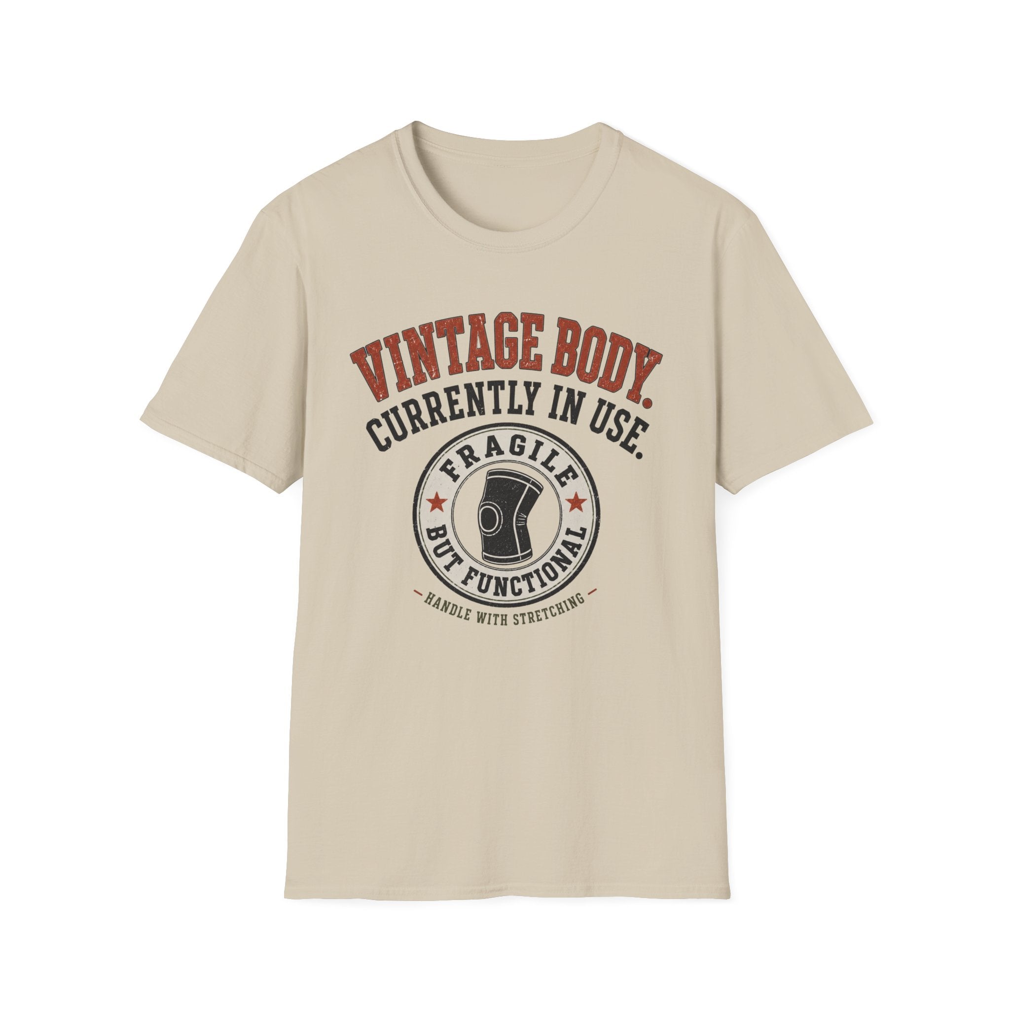 Vintage Body Currently In Use T-Shirt